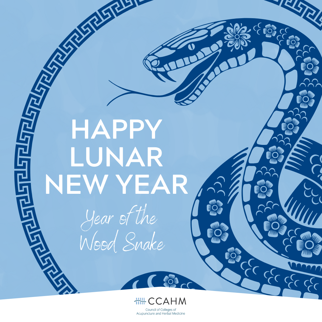 Happy Lunar New Year Year of the Wood Snake