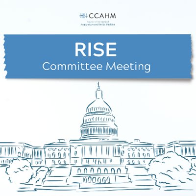 U.S. Capitol illustration (RISE Committee update)